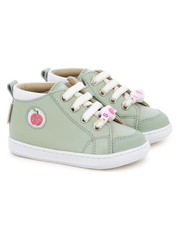 Pom D'api Skórzane sneakersy w kolorze zielonym