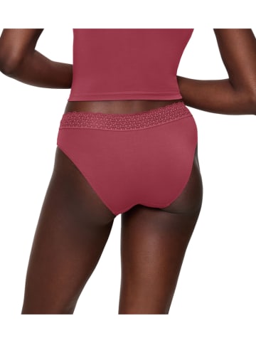 Triumph Slip bordeaux