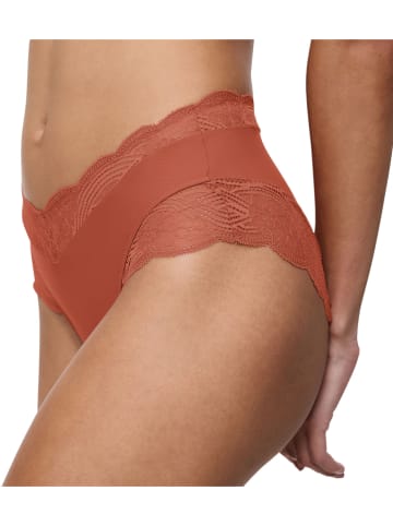 Triumph Taillenpanty in Braun