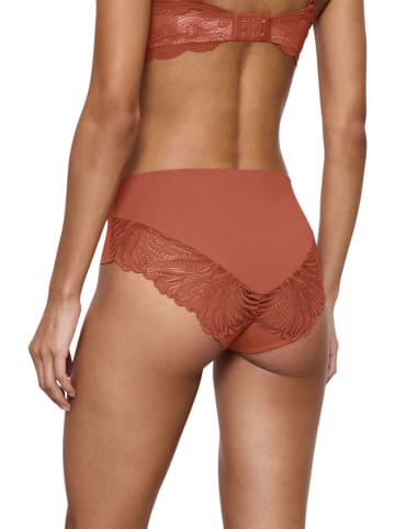 Triumph Taillehipster bruin