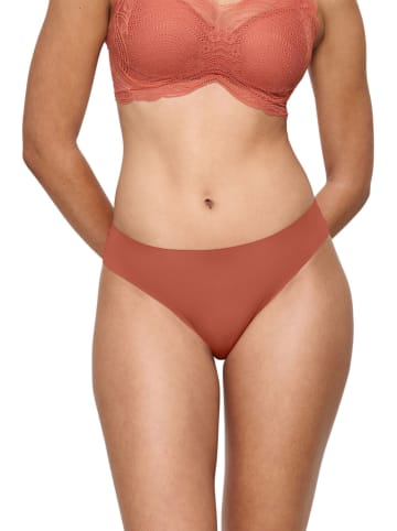 Triumph Figi w kolorze brązowym