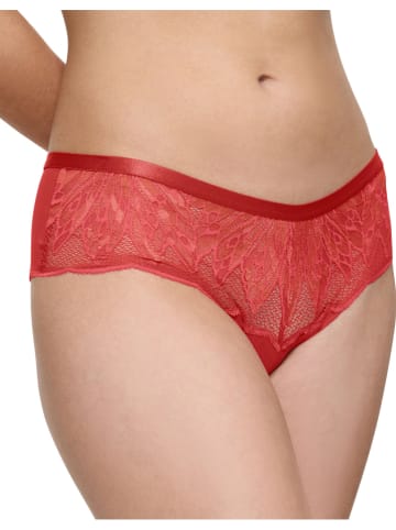 Triumph Hipster "Crazy Stupid Love" koraalrood