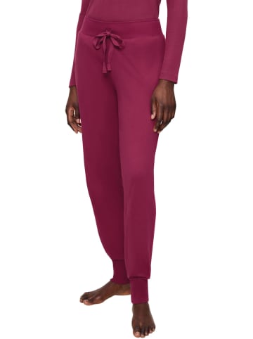 Triumph Broek beskleurig