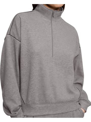 Triumph Sweatshirt in Grau