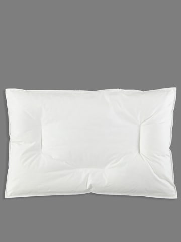 Schäfer Baby-/ Kinder-Daunenkissen "Arktis - 90" in Weiß