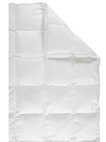 Schäfer Herbst-Daunen-Kassettenstegdecke "Bayern - 100" in Weiß