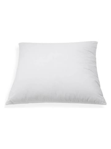 Schäfer Kopfkissen in Weiß