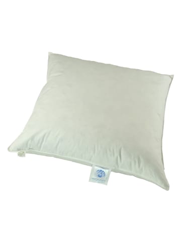 Schäfer Daunenkissen in Creme