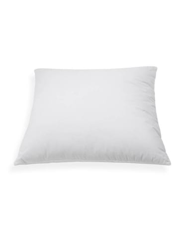 Schäfer Federkissen "puröko" in Creme