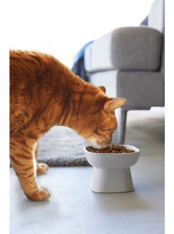 Yamazaki Futternapf "Tower" in Weiß - (B)11 x (H)8 x (T)9 cm