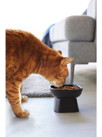 Yamazaki Futternapf "Tower" in Schwarz - (B)11 x (H)8 x (T)9 cm