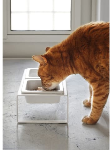 Yamazaki Futternapf in Weiß - (B)29 x (H)10 x (T)15,5 cm