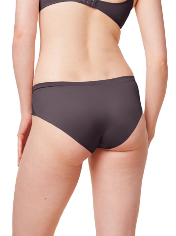 Triumph Figi w kolorze bordowym