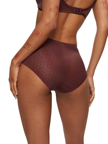 Triumph Taillehipster "Signature Sheer Maxi" donkerbruin