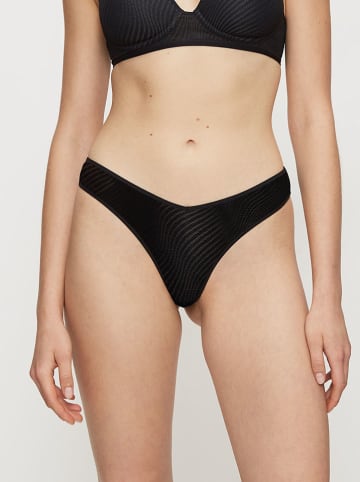 Triumph String "Harmony Spotlight" in Schwarz