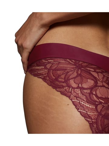 Triumph Slip in Bordeaux