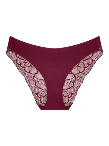 Triumph Figi w kolorze bordowym