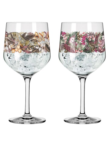 RITZENHOFF 2-delige set: ginglazen "Schattenfauna'' meerkleurig - 720 ml