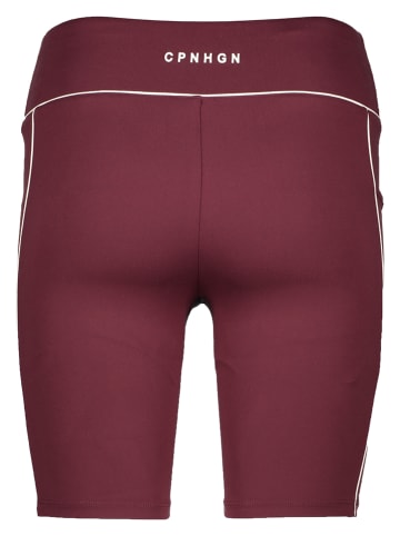 Copenhagen Studios Trainingsshorts in Bordeaux