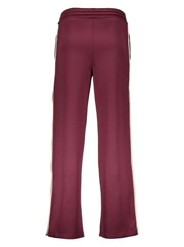 Copenhagen Studios Trainingshose in Bordeaux