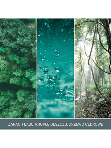 Yankee Candle Pałeczki zapachowe "Bayside Cedar" - 100 ml