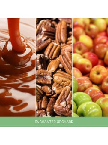 Yankee Candle Duftkerze ''Enchanted Orchard'' - 368 g