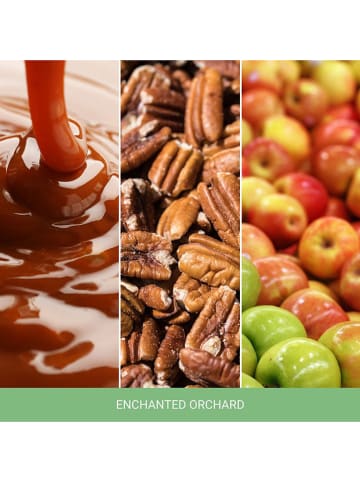 Yankee Candle Duftkerze ''Enchanted Orchard'' - 37 g