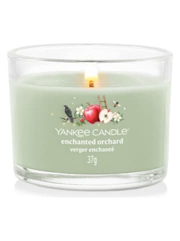 Yankee Candle Świeca zapachowa "Enchanted Orchard" - 37 g