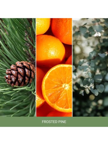 Yankee Candle Home Inspiration Duftkerze ''Frosted Pine" - 200 g