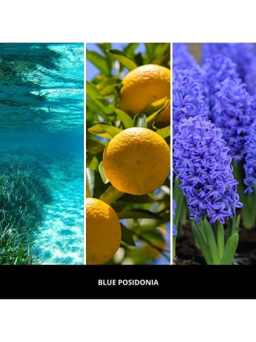 Millefiori Milano Geurstokjes "Rhubarb & Pepper" - 250 ml