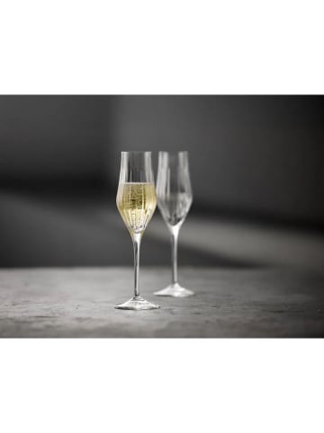 Lyngby Glas Kieliszki (4 szt.) "Ane" do szampana - 230 ml