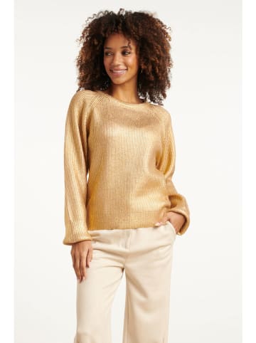 Smashed Lemon Pullover in Gold