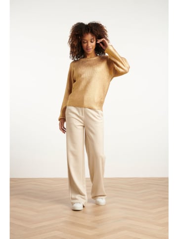 Smashed Lemon Pullover in Gold