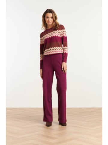 Smashed Lemon Hose in Aubergine in Lila