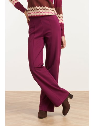 Smashed Lemon Hose in Aubergine in Lila