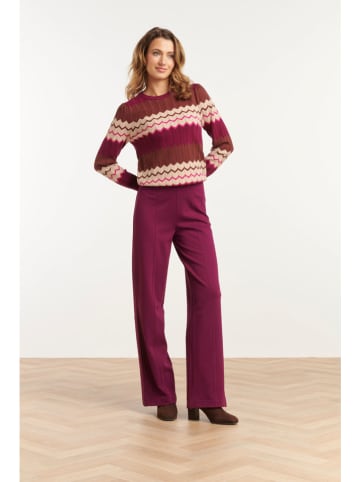 Smashed Lemon Hose in Aubergine in Lila