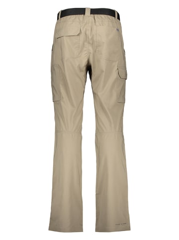 Columbia Functionele broek "Silver Ridge Utility" beige