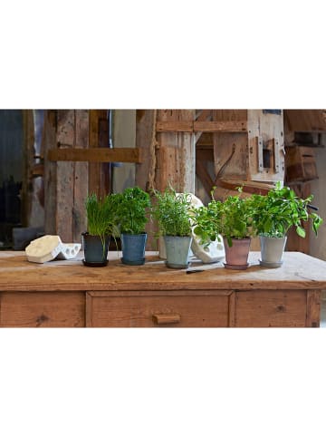 Knabstrup Kruidenbloempot "Knabstrup" lichtroze - (H)12 x Ø 10,5 cm