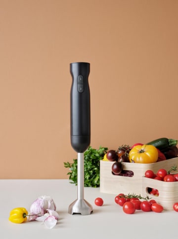 RIG-TIG Blender ręczny "Foodie" w kolorze czarnym