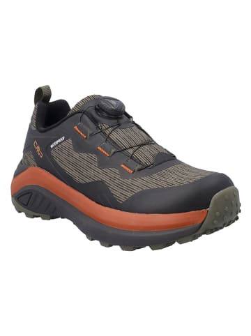 CMP Wanderschuhe "Dyonisus Low FitGo" in Braun