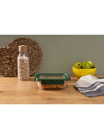 IRIS Barcelona Vershouddoos groen - 640 ml