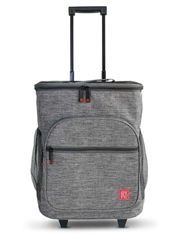 IRIS Barcelona Kühltasche "Weekend" in Grau - (B)34 x (H)37 x (T)28 cm