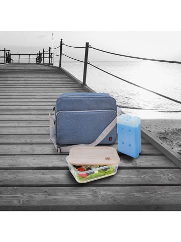 IRIS Barcelona Torba chłodząca w kolorze niebieskim - 39 x 30 x 18 cm