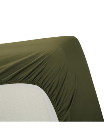 Ambiente Haus Spannbettlaken "Uni" in Oliv