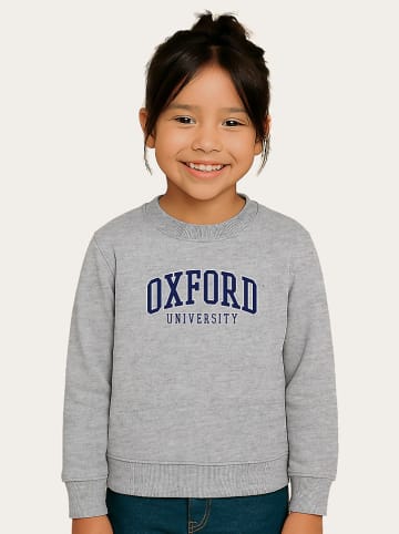 American Universities Sweatshirt "Oxford University 2" in Grau