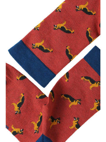 TATUUM Socken in Rot/ Dunkelblau