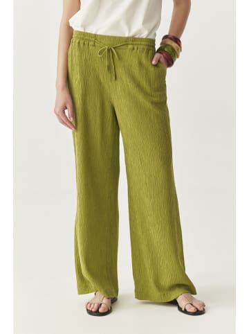 TATUUM Hose in Oliv