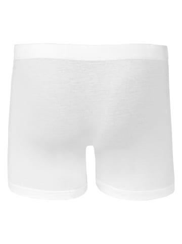 COTONELLA 2er-Set: Boxershorts in Weiß