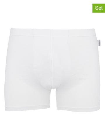 COTONELLA 2er-Set: Boxershorts in Weiß