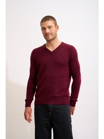Just Cashmere Kaszmirowy sweter "Nathan" w kolorze bordowym